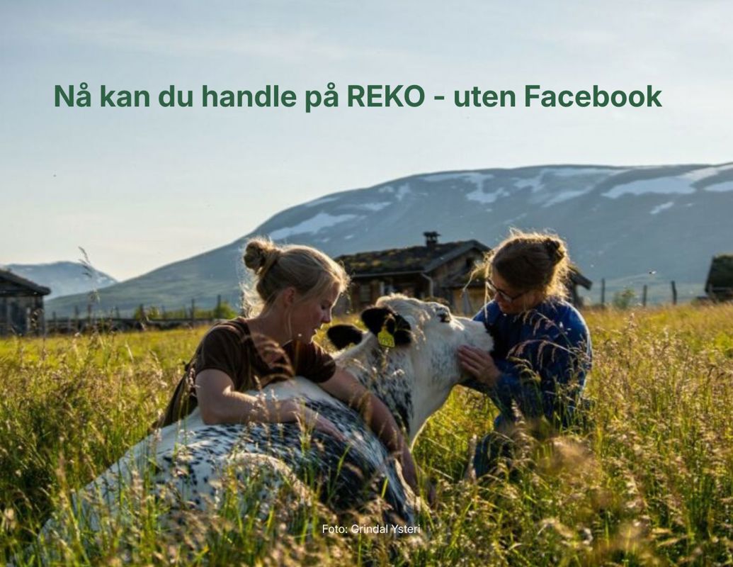 REKO-Utleveringer i Trondheim med ny bestillingsløsning